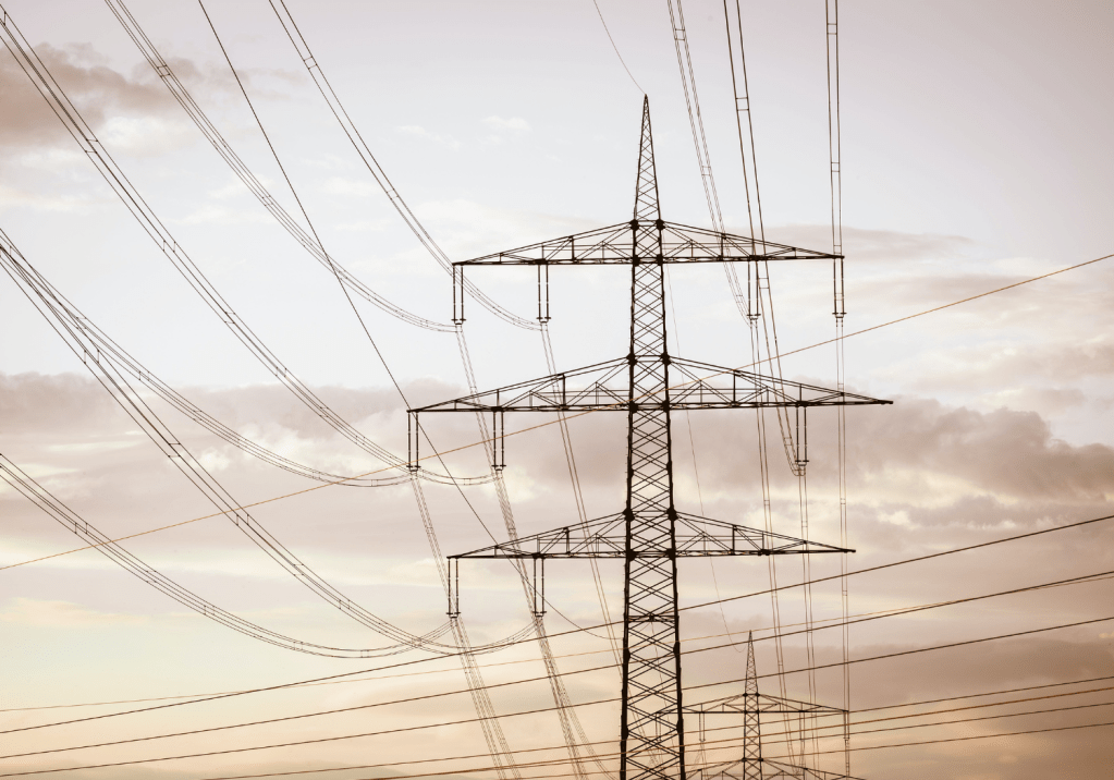 What Do They&nbsp;Think?