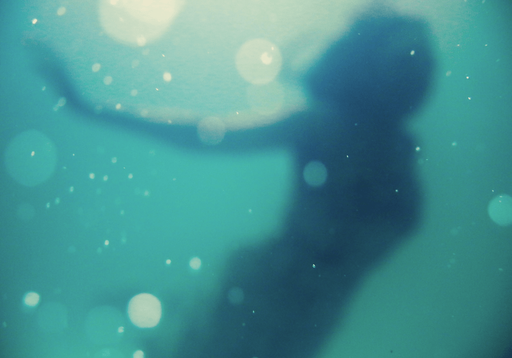 How to Bargain with a Sea&nbsp;Witch