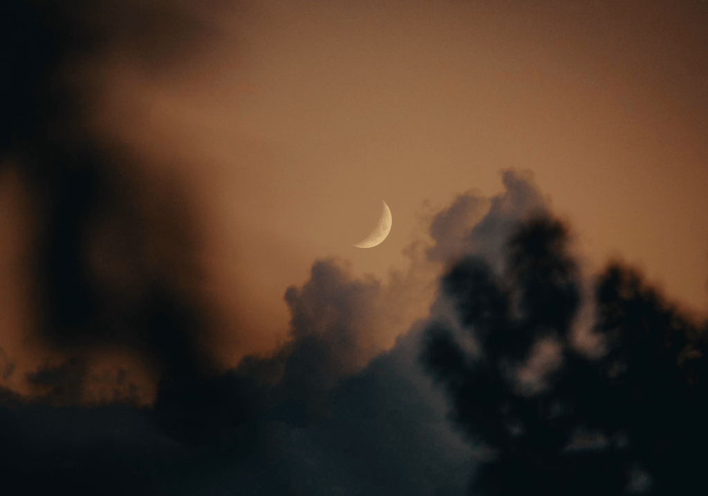 King of the Dark – A Thicker Than Water&nbsp;Story